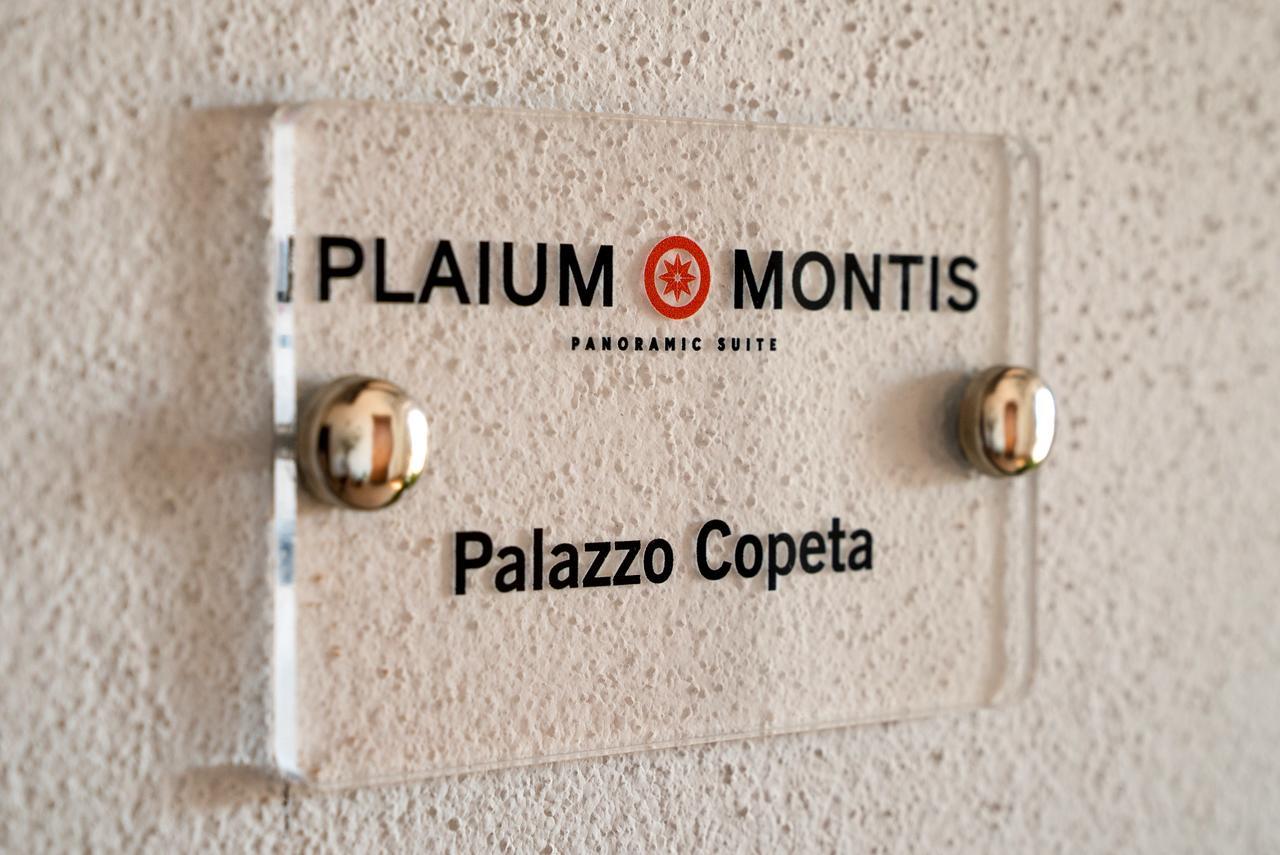 Villa Plaium Montis Copeta à Salernes Extérieur photo
